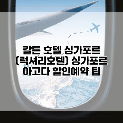 칼튼 호텔 싱가포르 (럭셔리호텔) 싱가포르 아고다 할인예약 팁