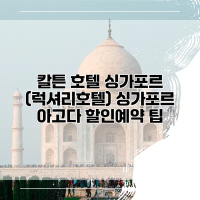 칼튼 호텔 싱가포르 (럭셔리호텔) 싱가포르 아고다 할인예약 팁
