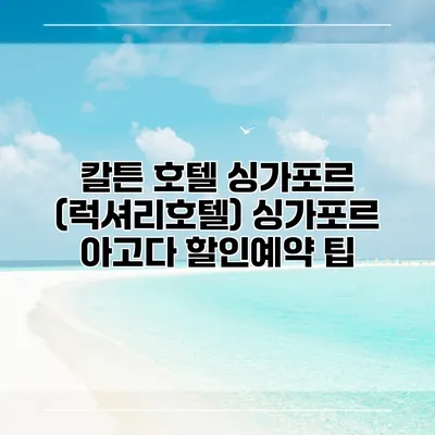 칼튼 호텔 싱가포르 (럭셔리호텔) 싱가포르 아고다 할인예약 팁