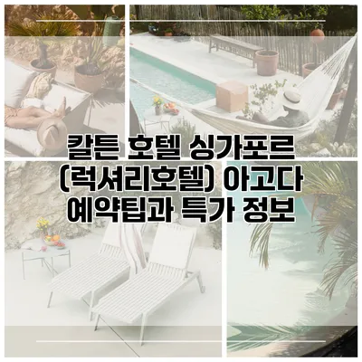 칼튼 호텔 싱가포르 (럭셔리호텔) 아고다 예약팁과 특가 정보
