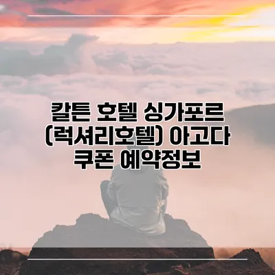 칼튼 호텔 싱가포르 (럭셔리호텔) 아고다 쿠폰 예약정보