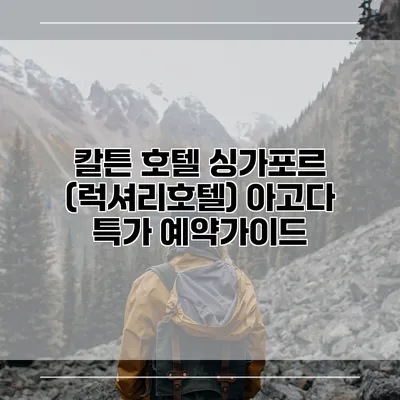 칼튼 호텔 싱가포르 (럭셔리호텔) 아고다 특가 예약가이드