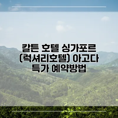 칼튼 호텔 싱가포르 (럭셔리호텔) 아고다 특가 예약방법