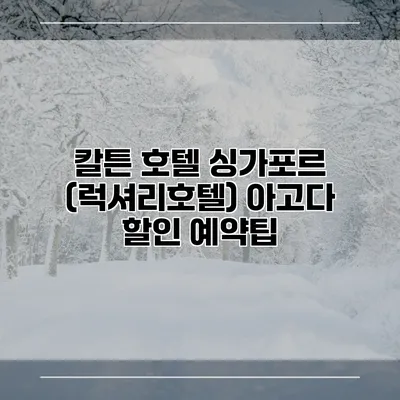 칼튼 호텔 싱가포르 (럭셔리호텔) 아고다 할인 예약팁