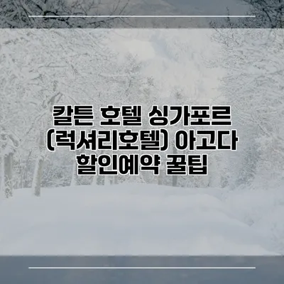 칼튼 호텔 싱가포르 (럭셔리호텔) 아고다 할인예약 꿀팁
