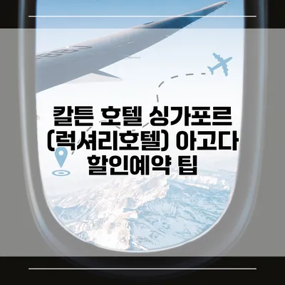 칼튼 호텔 싱가포르 (럭셔리호텔) 아고다 할인예약 팁