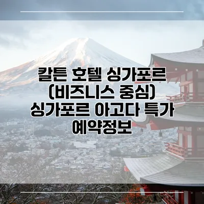 칼튼 호텔 싱가포르 (비즈니스 중심) 싱가포르 아고다 특가 예약정보