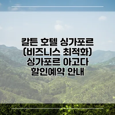칼튼 호텔 싱가포르 (비즈니스 최적화) 싱가포르 아고다 할인예약 안내