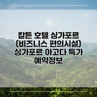 칼튼 호텔 싱가포르 (비즈니스 편의시설) 싱가포르 아고다 특가 예약정보