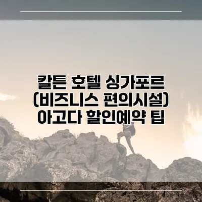 칼튼 호텔 싱가포르 (비즈니스 편의시설) 아고다 할인예약 팁