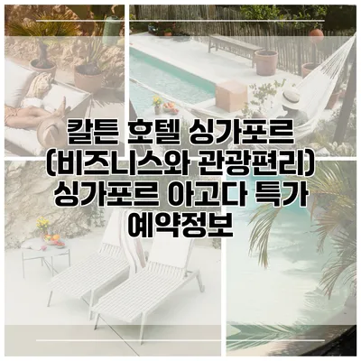 칼튼 호텔 싱가포르 (비즈니스와 관광편리) 싱가포르 아고다 특가 예약정보
