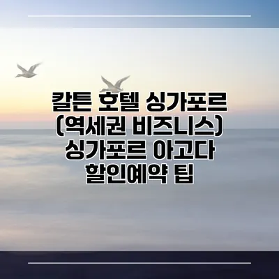 칼튼 호텔 싱가포르 (역세권 비즈니스) 싱가포르 아고다 할인예약 팁
