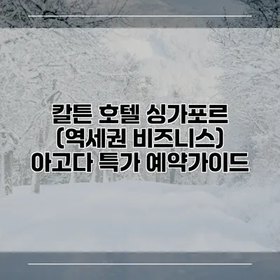 칼튼 호텔 싱가포르 (역세권 비즈니스) 아고다 특가 예약가이드