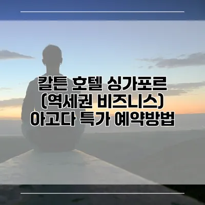 칼튼 호텔 싱가포르 (역세권 비즈니스) 아고다 특가 예약방법