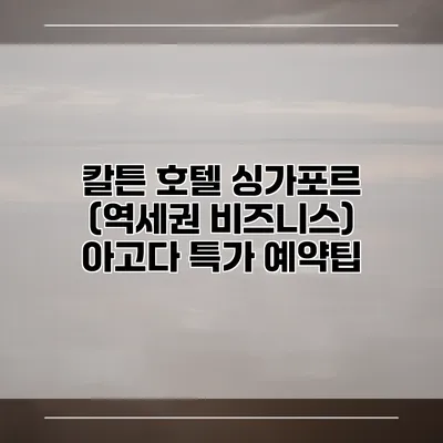 칼튼 호텔 싱가포르 (역세권 비즈니스) 아고다 특가 예약팁