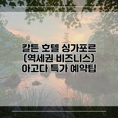 칼튼 호텔 싱가포르 (역세권 비즈니스) 아고다 특가 예약팁