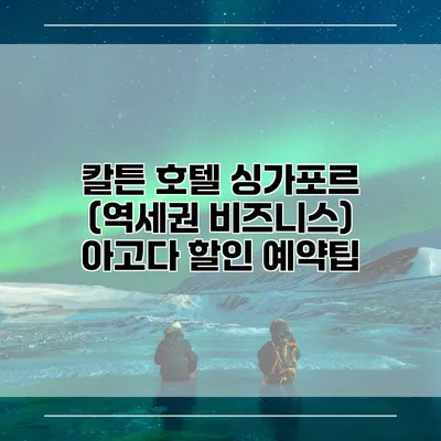 칼튼 호텔 싱가포르 (역세권 비즈니스) 아고다 할인 예약팁