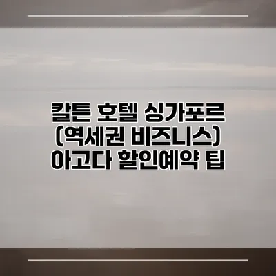 칼튼 호텔 싱가포르 (역세권 비즈니스) 아고다 할인예약 팁