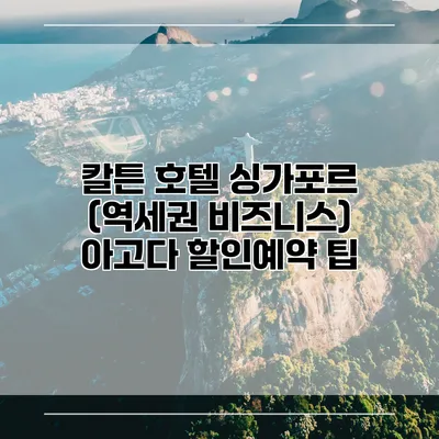 칼튼 호텔 싱가포르 (역세권 비즈니스) 아고다 할인예약 팁