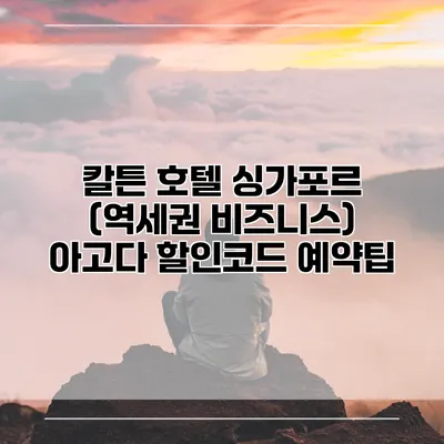 칼튼 호텔 싱가포르 (역세권 비즈니스) 아고다 할인코드 예약팁