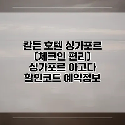 칼튼 호텔 싱가포르 (체크인 편리) 싱가포르 아고다 할인코드 예약정보