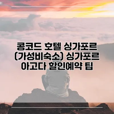 콩코드 호텔 싱가포르 (가성비숙소) 싱가포르 아고다 할인예약 팁