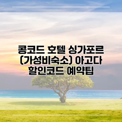 콩코드 호텔 싱가포르 (가성비숙소) 아고다 할인코드 예약팁