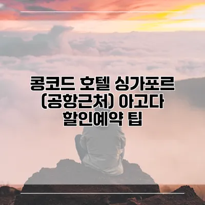 콩코드 호텔 싱가포르 (공항근처) 아고다 할인예약 팁