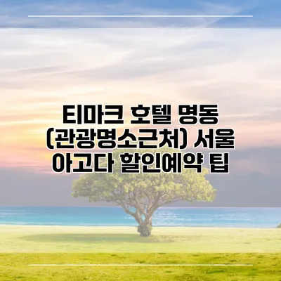 티마크 호텔 명동 (관광명소근처) 서울 아고다 할인예약 팁