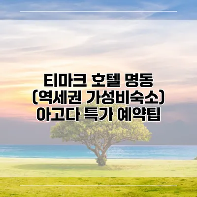 티마크 호텔 명동 (역세권 가성비숙소) 아고다 특가 예약팁