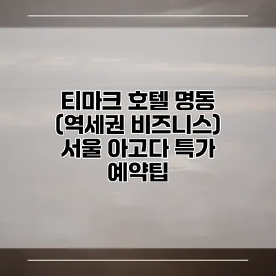 티마크 호텔 명동 (역세권 비즈니스) 서울 아고다 특가 예약팁