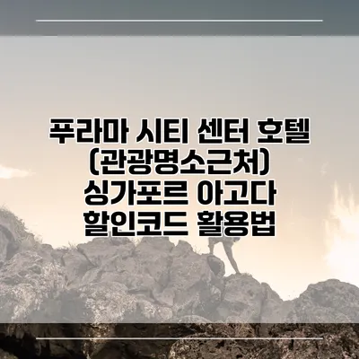 푸라마 시티 센터 호텔 (관광명소근처) 싱가포르 아고다 할인코드 활용법