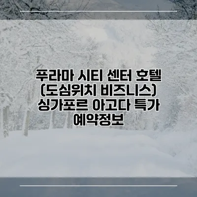 푸라마 시티 센터 호텔 (도심위치 비즈니스) 싱가포르 아고다 특가 예약정보