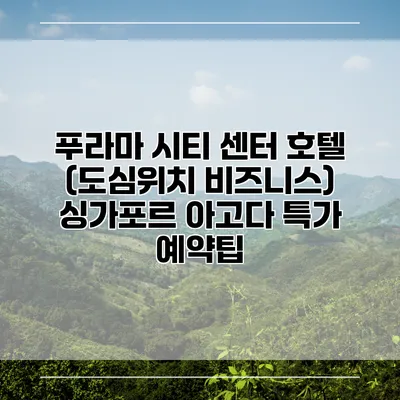푸라마 시티 센터 호텔 (도심위치 비즈니스) 싱가포르 아고다 특가 예약팁
