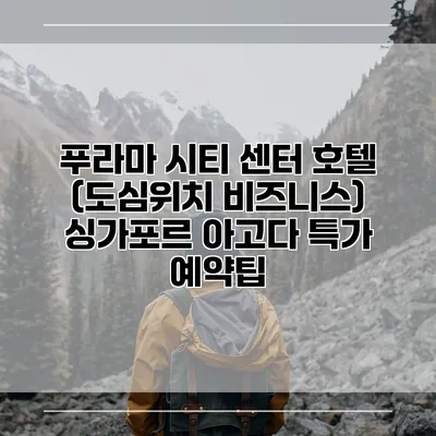 푸라마 시티 센터 호텔 (도심위치 비즈니스) 싱가포르 아고다 특가 예약팁