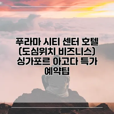 푸라마 시티 센터 호텔 (도심위치 비즈니스) 싱가포르 아고다 특가 예약팁