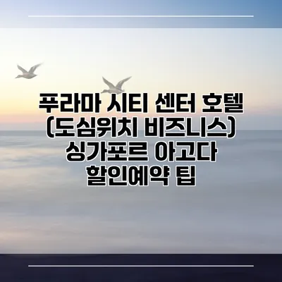푸라마 시티 센터 호텔 (도심위치 비즈니스) 싱가포르 아고다 할인예약 팁