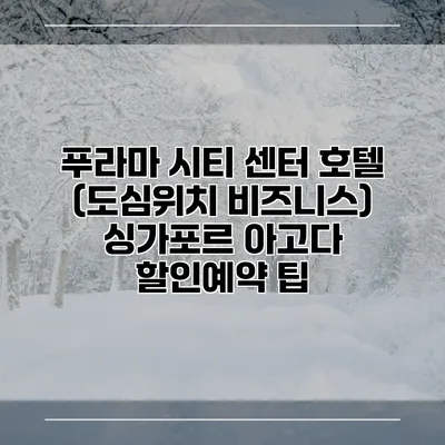 푸라마 시티 센터 호텔 (도심위치 비즈니스) 싱가포르 아고다 할인예약 팁