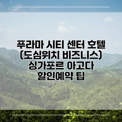 푸라마 시티 센터 호텔 (도심위치 비즈니스) 싱가포르 아고다 할인예약 팁