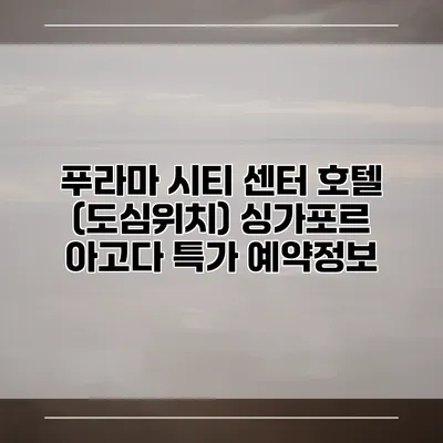 푸라마 시티 센터 호텔 (도심위치) 싱가포르 아고다 특가 예약정보