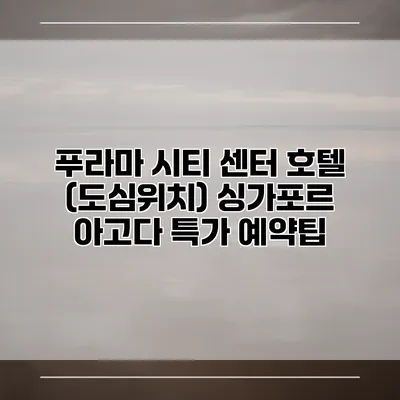 푸라마 시티 센터 호텔 (도심위치) 싱가포르 아고다 특가 예약팁