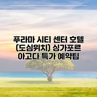 푸라마 시티 센터 호텔 (도심위치) 싱가포르 아고다 특가 예약팁