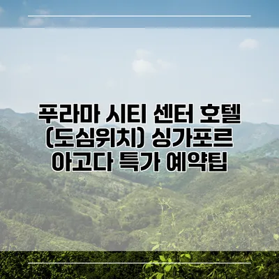 푸라마 시티 센터 호텔 (도심위치) 싱가포르 아고다 특가 예약팁