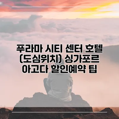 푸라마 시티 센터 호텔 (도심위치) 싱가포르 아고다 할인예약 팁