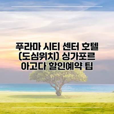 푸라마 시티 센터 호텔 (도심위치) 싱가포르 아고다 할인예약 팁