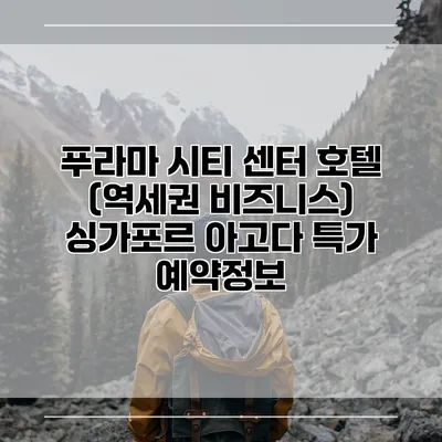 푸라마 시티 센터 호텔 (역세권 비즈니스) 싱가포르 아고다 특가 예약정보