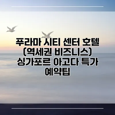 푸라마 시티 센터 호텔 (역세권 비즈니스) 싱가포르 아고다 특가 예약팁