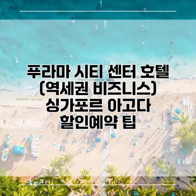 푸라마 시티 센터 호텔 (역세권 비즈니스) 싱가포르 아고다 할인예약 팁