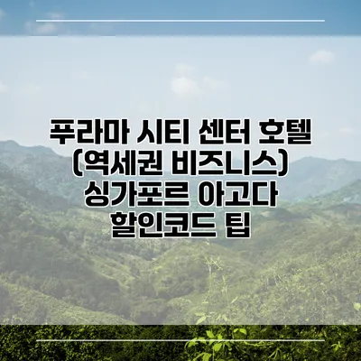 푸라마 시티 센터 호텔 (역세권 비즈니스) 싱가포르 아고다 할인코드 팁
