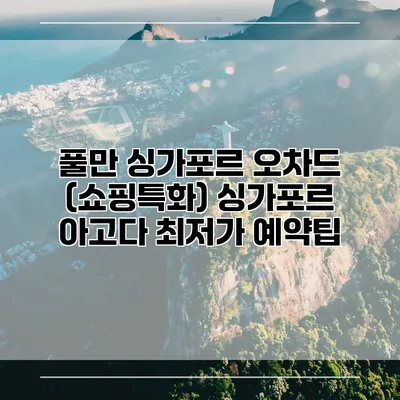 풀만 싱가포르 오차드 (쇼핑특화) 싱가포르 아고다 최저가 예약팁